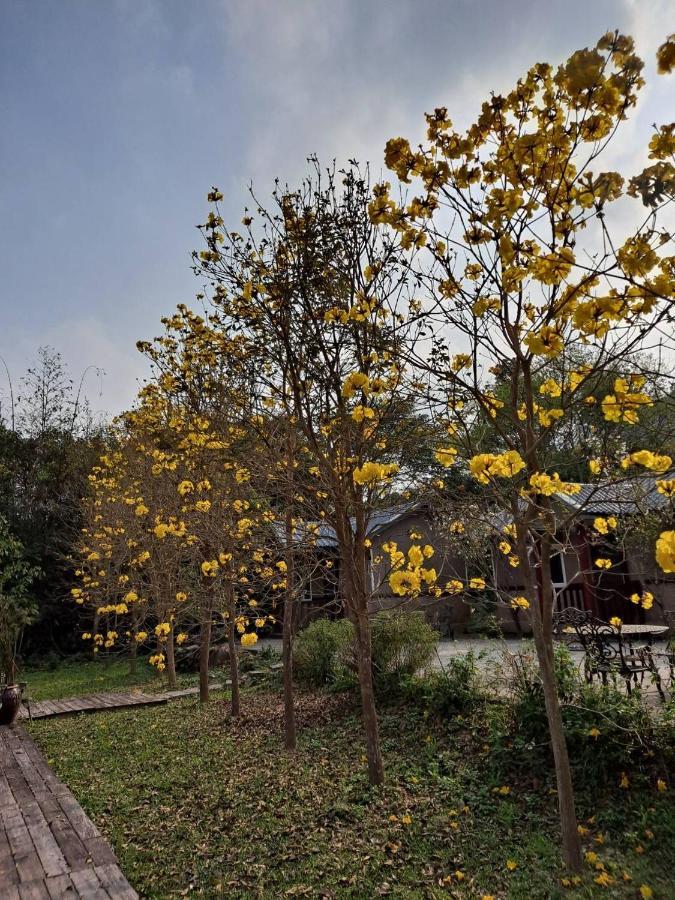 蓬萊生態農場仙山民宿 Наньчжуан Экстерьер фото